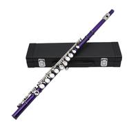 Flauti Strumenti Musicali Flauto Chiuso A 16 Fori Chiave C Flauto D'argento Con Custodia In Pelle Flauto A Fiato Da Concerto Professionale(Purple)
