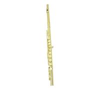 Flauto 16 Fori Più Chiave Mi Flauto Ottone Flauto D'oro Strumento Musicale Custodia In Pelle Chiusa Strumento Da Concerto Per Flauto Professionale