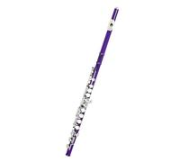 Flauto A 16 Fori Chiusi In Do Flauto Da Concerto In Cupronichel Flauto Trasversale Strumento A Fiato Con Chiave In Mi Custodia Accessori(I)