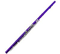 Flauto A Foro Aperto Flauto Colorato A 16 Fori Con Chiave C E Chiave E A Foro Chiuso Per Principianti Per Esercitarsi A Suonare Strumenti Musicali(Purple)
