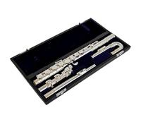 Flauto A Foro Aperto Flauto Contralto G Tune 16 Tasti A Foro Chiuso Strumento Musicale Professionale Placcato In Nastro Con Custodia Principianti Adulti