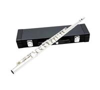 Flauto A Foro Aperto Flauto in Metallo Professionale 16 Fori C Key Flauto Placcato Argento Flauto da Concerto con Custodia Guanti in Tessuto Parti Musicali