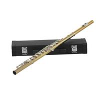 Flauto A Foro Aperto Set Di Strumenti Per Flauto Per Flauto Con Chiave In Oro E Argento A 16 Fori Chiave C Tubo In Ottone Per Esami Per Principianti