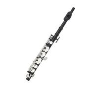 flauto BK mezzo flauto standard corpo in ottone C mezzo flauto set per principianti con guanti in scatola parti di utensili per vite in sughero