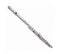 Flauto C 16 Fori Chiusi Trasversali, Rivestimento in Argento Chiavi Foro Chiuso Fori per Flauto Flauti Trasversali Argilla Strumento a Fiato con Sughero Grasso Panno per Pulizia