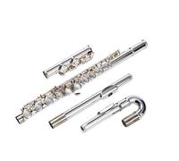 flauto Chiave C Argentata A 16 Fori Aperti E Chiusi Chiave E Tipo A Tubo Curvo/doppio Bocchino Per Principianti (Color : Silver plated 16 hole closed hole)