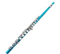 Flauto da studente Chiave C A 16 Fori Chiave E Flauto A Foro Chiuso Blu Viola Ciano Flauto Gli Studenti Principianti Praticano Uno Strumento Musicale (Color : Green 16 closed cells)