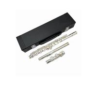 Flauto Da Studente Flauto In Metallo Professionale A 16 Fori Con Chiave In Do Placcato In Argento Da Concerto(17 holes)