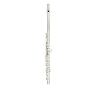 Flauto da studente Strumento Musicale Flauto Traverso Lungo Professionale Con Chiave C A 16 Fori Aperti Chiusi Con Chiave Per Principianti (Color : Silver)