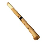 Flauto Di Bambù Per Principianti Fatto A Mano Flauto Di Bambù E Legno A 5 Fori Shakuhachi In Resina D Tune Strumento Musicale