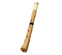 Flauto Di Bambù Per Principianti Fatto A Mano Flauto Di Bambù Shakuhachi In Resina D Tune A 5 Fori Strumento In Legno