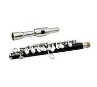 Flauto Di Mezza Misura Tono C In Cupronichel Placcato Argento Con Custodia Imbottita E Accessori Flauto Traverso per Principiante