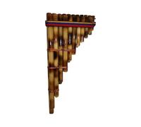 Flauto Di Pan Per Principianti Flauto Di Pan 21 Flauti Su Due File Mi Maggiore Strumento Musicale Tradizionale Adatto Ai Principianti
