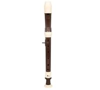 Flauto Dolce Flauto Dolce 8 Fori ABS Soprano A Tre Stadi Staccabile | Realizzato in materiale di resina ABS,ha una buona sensazione al tatto,più facile da suonare.(Brown)