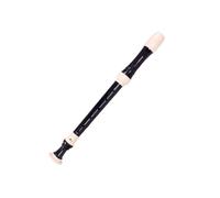 Flauto Dolce Professionale Strumento A Fiato Con Flauto Dolce In Resina ABS A 8 Fori (chiave Di Fa)