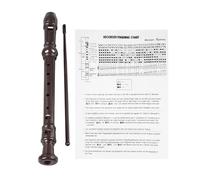 Flauto Dolci Soprano a 8 Fori, Strumento in ABS Leggero per Bambini, Studenti, Uso in acile da Imparare, Completo di Guida e Strumenti per la Pulizia (Caffè)