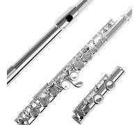 flauto Flauto 16 Fori Aperti Chiusi Chiave C Strumento Musicale Da Concerto Per Flauto Traverso Professionale Con Accessori Di Supporto (Color : Silver Plated)