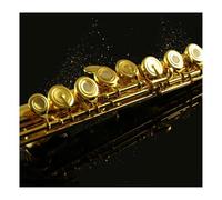 Flauto Flauto 17 Fori Aperti E Chiusi Chiave Per Flauto A Tubo In Nichel Argento A Doppio Scopo Che Suona Il Flauto(Gold-plated)