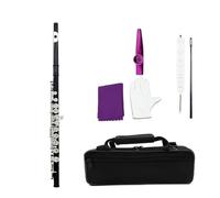 flauto Flauto a 16 fori a foro chiuso in chiave C. Flauto con chiave E. Il piccolo piccolo squisito è adatto ai principianti per esercitarsi a suonare (Color : A6 BK flute)