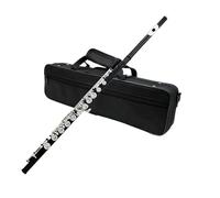 flauto Flauto A 16 Fori Aperti Chiave C Flauto Professionale Placcato Argento Con Guanti A Forma Di Scatola