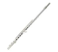 Flauto Flauto A 16 Fori E 17 Fori Apri E Chiudi Doppio Uso Chiave C Flauto Per Principianti Strumento Musicale Portatile(17 Opencell)