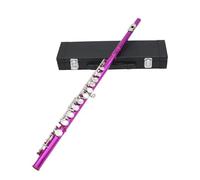 flauto Flauto Chiuso A 16 Fori Chiave C Flauto D'argento Con Custodia In Pelle Flauto A Fiato Da Concerto Professionale(Rose)