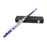 flauto Flauto Chiuso A 16 Fori Chiave C Flauto D'argento Con Custodia In Pelle Flauto A Fiato Da Concerto Professionale(Blue)