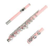 Flauto Flauto Con 16 Fori Chiusi Chiave C Flauto Professionale In Argento Strumento Musicale Da Concerto Flauto Scatola Panno Bastone Guanti Parti(Pink)