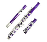 Flauto Flauto Con 16 Fori Chiusi Chiave C Flauto Professionale In Argento Strumento Musicale Da Concerto Flauto Scatola Panno Bastone Guanti Parti(Purple)