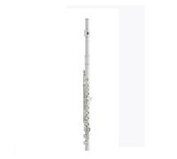 Flauto Flauto Flauto da Esame Professionale per Principianti in Chiave C Standard (Color : YFL-222)