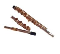 Flauto Flauto In Chiave Mi Con Melodia C A 17 Fori | Flauto professionale a 17 fori aperti con melodia C e chiave E placcato in argento