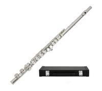 Flauto Flauto per principianti Scatola ordinaria in cupronichel C a 16 fori nichelato argentato