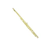 Flauto Flauto professionale con chiave chiusa in Do 16 fori placcato in oro con scatola panno per la pulizia asta e guanti