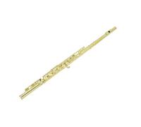 Flauto Flauto Tono C A 16 Fori Chiusi Ottone Bianco Nichelato Chiave E Prestazioni Professionali Per Principianti(Gold)