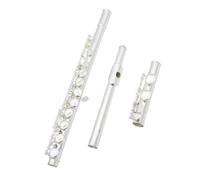 Flauto Flauto traverso in metallo professionale a 16 fori con chiave C strumento musicale da concerto placcato in argento con scatola panno per la pulizia e guanti