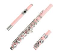 Flauto Flauto Traverso Professionale Con 16 Fori Chiusi E Aperti Chiave C Strumento Musicale Da Concerto Suono Standard(Pink)