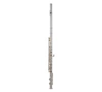 Roy Benson Flute FL-402R2 (Design a doppia canna, dritta e curva, lussuosa finitura placcata in nichel argento, chiavi ad anello e funzione in linea, accessori premium inclusi)