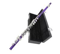 Flauto Flauto Viola A 16 Fori Con Accordatura In Do E Chiave In Mi Strumento A Fiato In Cupronichel Argentato Nichelato Con Accessori