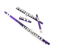 Flauto Foro Chiuso 16 Chiavi Lo Strumento Per Flauto Per Principianti A 16 Tasti Con Foro Chiuso C Viene Fornito Con La Barra Passante Porta Guanti(Purple)