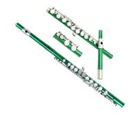 Flauto Foro Chiuso 16 Chiavi Lo Strumento Per Flauto Per Principianti A 16 Tasti Con Foro Chiuso C Viene Fornito Con La Barra Passante Porta Guanti(Green)
