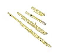 Flauto Foro Chiuso 16 Chiavi Lo Strumento Per Flauto Per Principianti A 16 Tasti Con Foro Chiuso C Viene Fornito Con La Barra Passante Porta Guanti(Gold)
