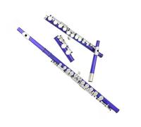 Flauto Foro Chiuso 16 Chiavi Lo Strumento Per Flauto Per Principianti A 16 Tasti Con Foro Chiuso C Viene Fornito Con La Barra Passante Porta Guanti(Blue)