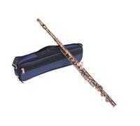 Flauto Foro Chiuso 16 Chiavi Set Di Flauto A 16 Fori Con Chiave A C Foro Chiuso Con Custodia Guanti In Tessuto Accessorio Per Strumenti A Fiato Per Gli Amanti Della Musica(Red)