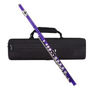 Flauto, HUIOP Foro Chiuso C Flauto 16 tasti Cupronichel placcato Strumento a fiato con custodia per il trasporto Flauto Stand Guanti Panno di pulizia Mini Cacciavite Asta di pulizia, Flauto tono C