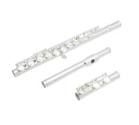 Flauto In Argento A 16 Fori Con Tono C E Chiave E Strumento A Fiato In Cupronichel Argentato Nichelato Con Accessori