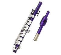 Flauto In Cupronichel Di Mezza Misura Viola Piccolo A 16 Fori Con Chiave E Con Custodia In Pelle Flauto Traverso per Principiante