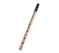 Flauto irlandese professionale in metallo a sei fori, per principianti e professionisti, strumento musicale tradizionale, con borsa per il trasporto, colore nero (chiave C dorata)