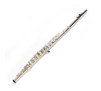 Flauto Per Principianti Flauto 16 Fori Mi Chiave Do Accordatura Argento Nichelato Strumento Musicale Esame Per Principianti Prestazioni Professionali(Bag A)