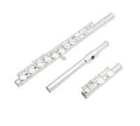 Flauto Per Principianti Flauto Traverso Professionale Con Chiave C 16 Fori Chiusi E Aperti Strumento Musicale Da Concerto Con Scatola Guanti In Tessuto