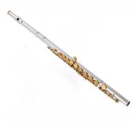 Flauto Per Principianti Piccolo Gomito 16 Fori Chiave Aperto Flauto Do Corpo Argento Chiavi Dorate Strumento Musicale Flauto